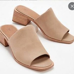 Frye Lucia mule- bone